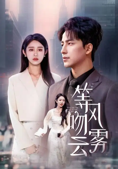 雾隐城纪事 热播电视剧全集在线观看